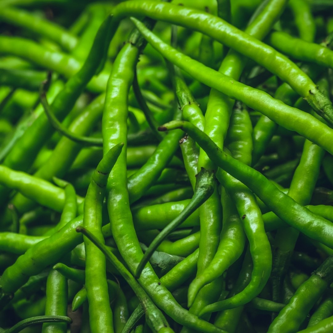 Premium G4 Green Chilly – Fresh & Export Quality