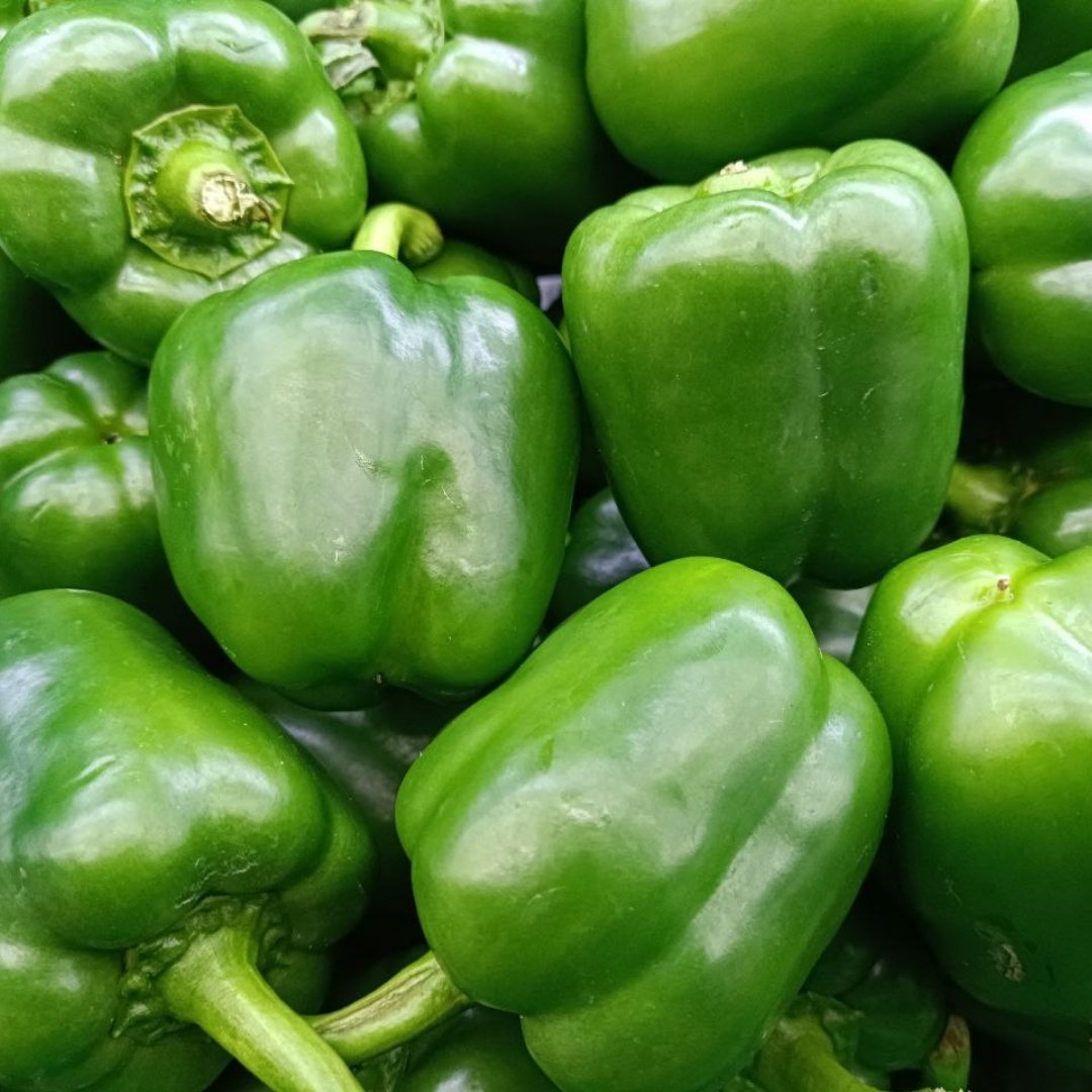 Premium Green Capsicum – Fresh & Crisp