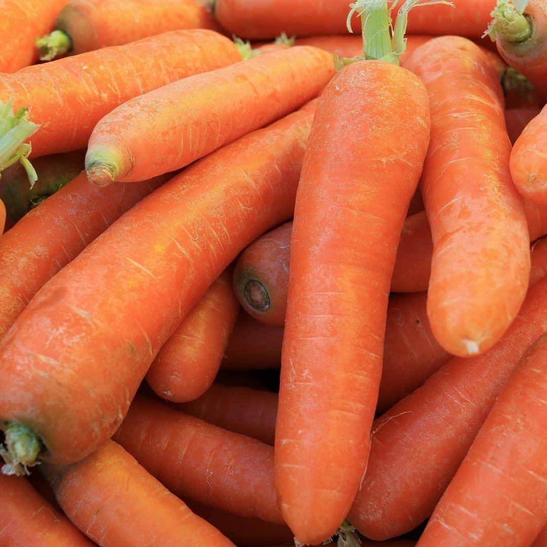 Premium Fresh Carrot – Sweet & Nutritious