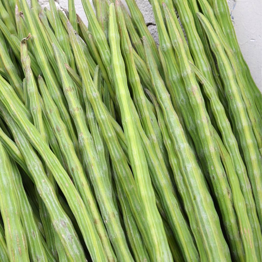 Premium Fresh Drumsticks – Farm Fresh Export Quality