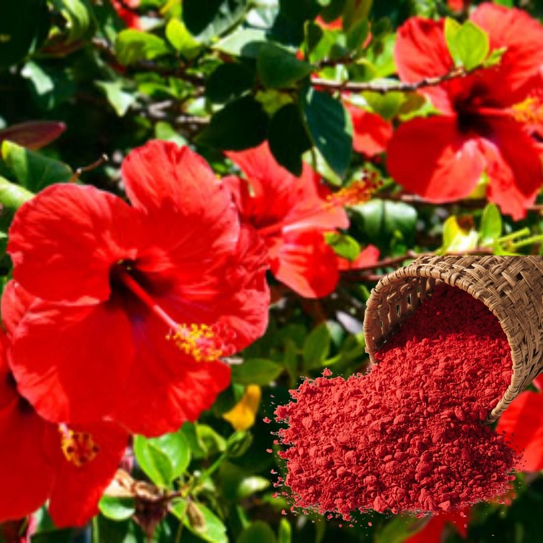 Premium Hibiscus Flower Powder – Pure & Natural